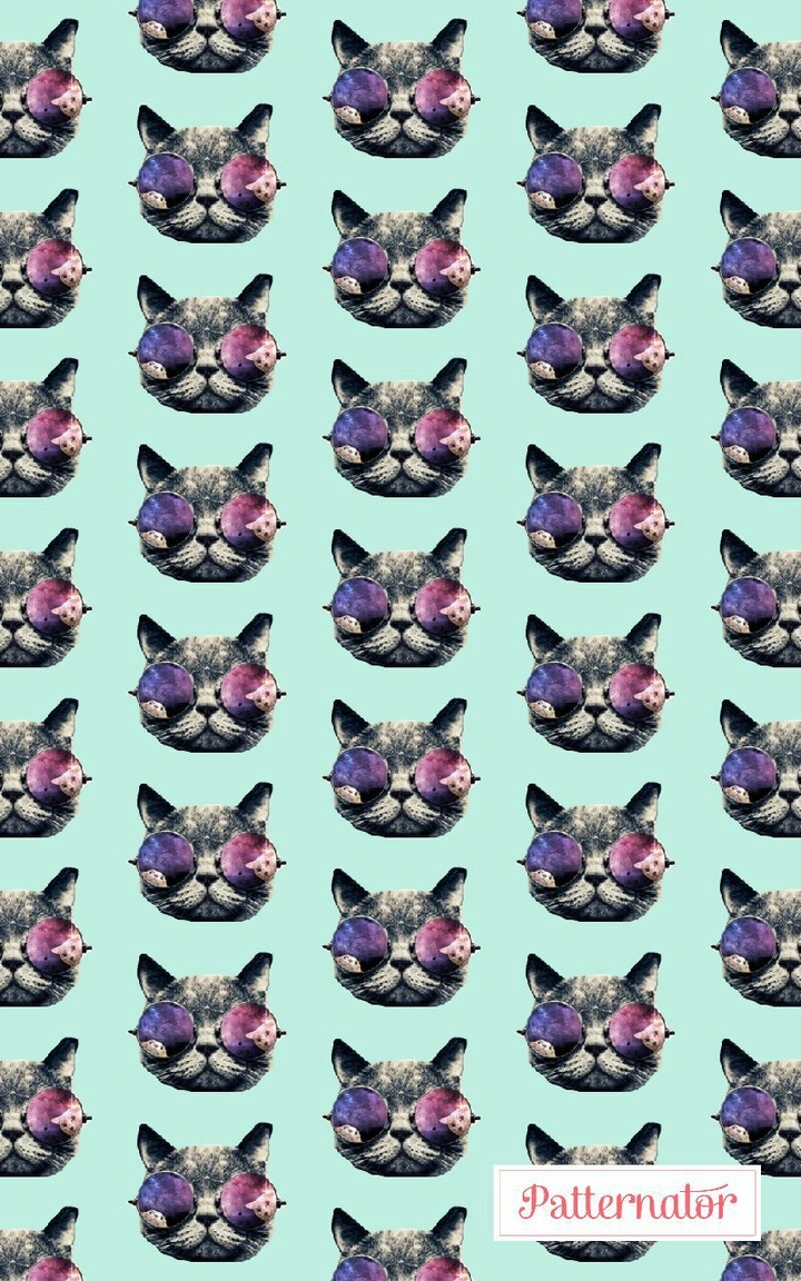crazy cat