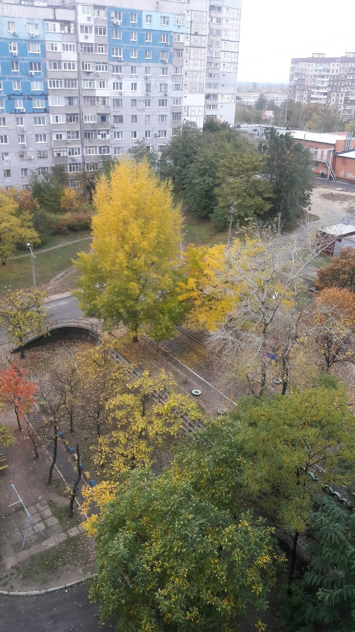 Осень из окна