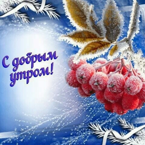с добрым утром