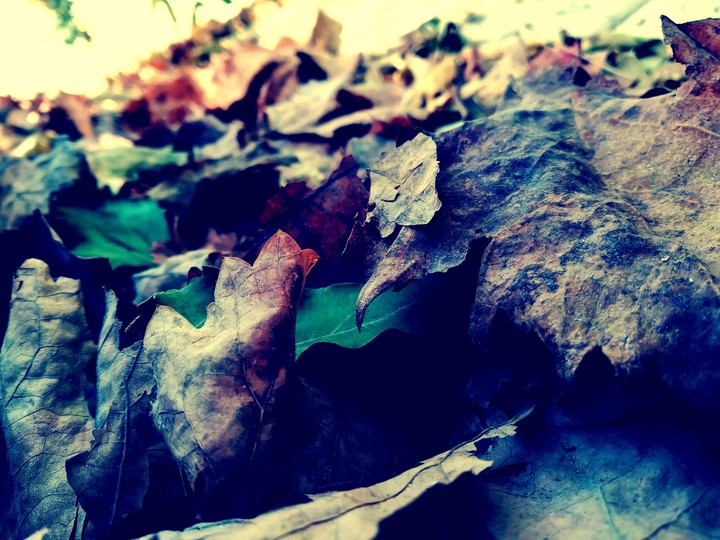 fall???????