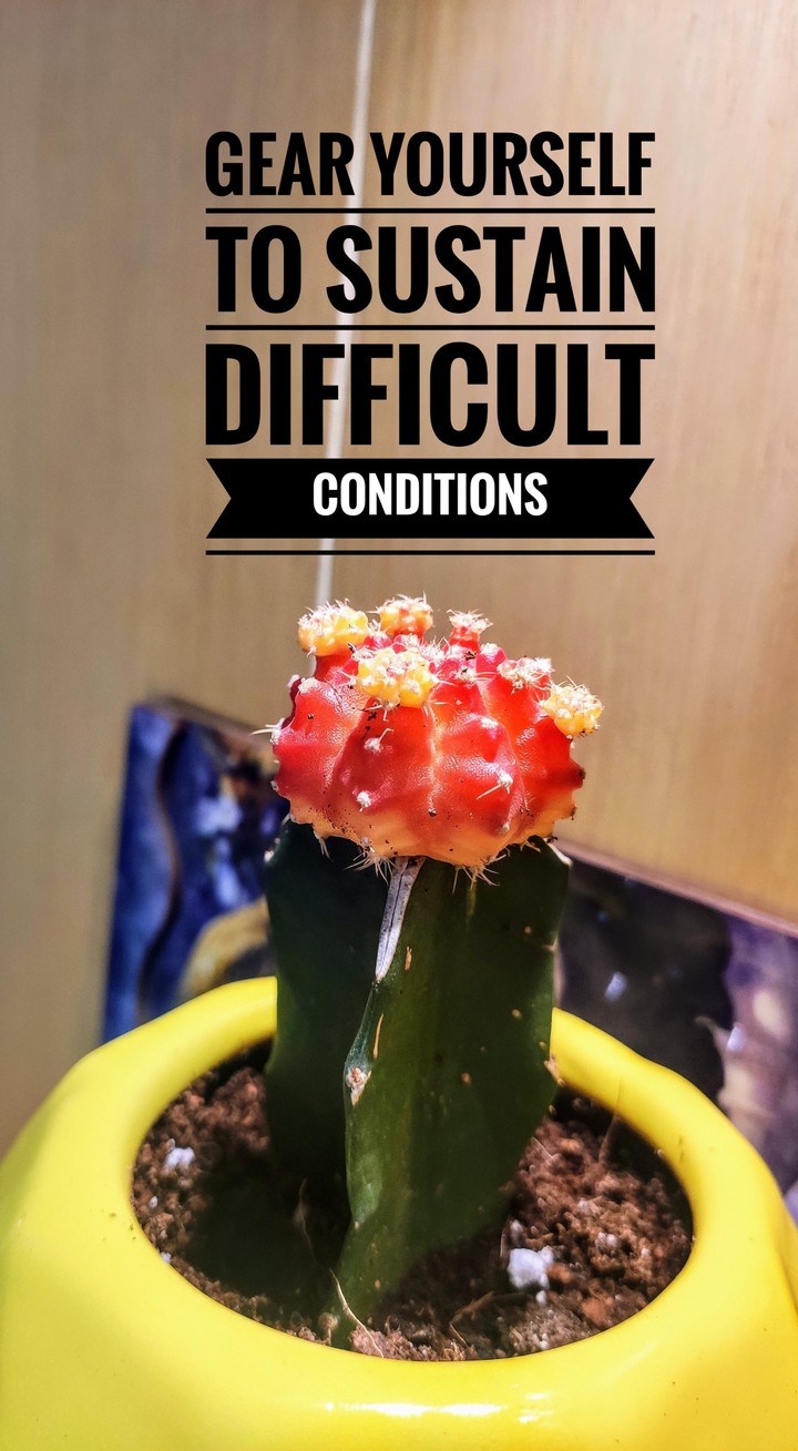 lifesessionfromcactus
