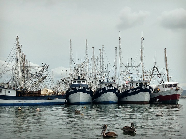 Muelle