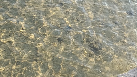 hình nền Fluid, liquid