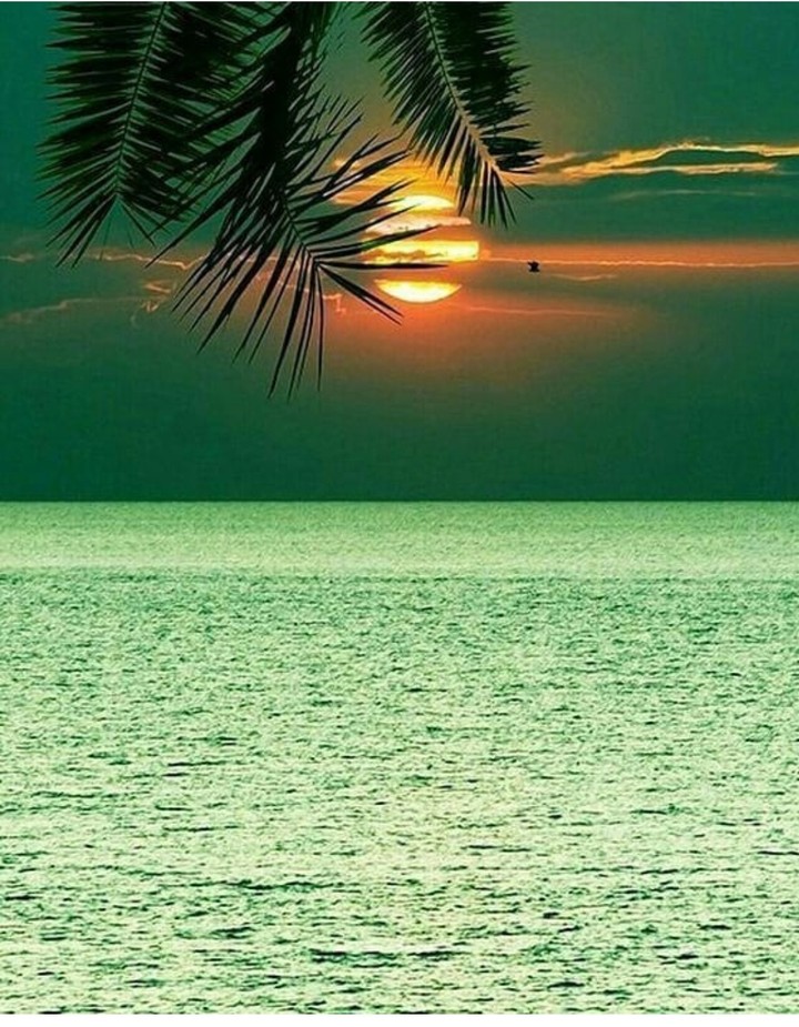 sunset light