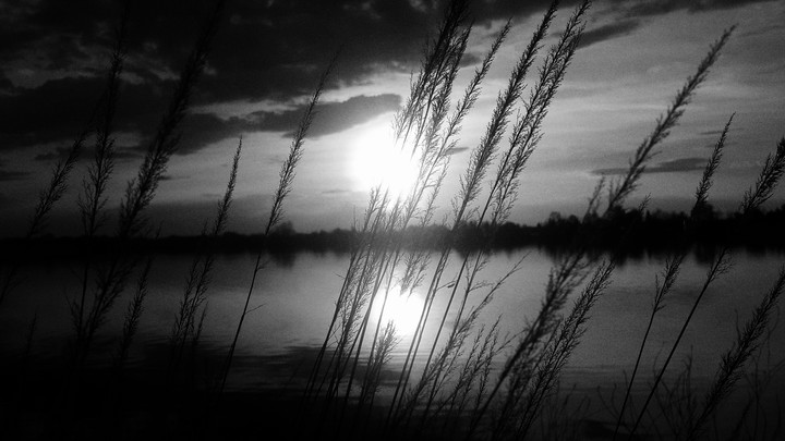Sun in white & black