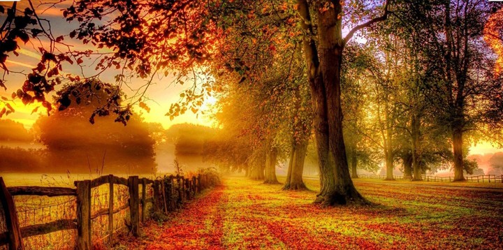 fall