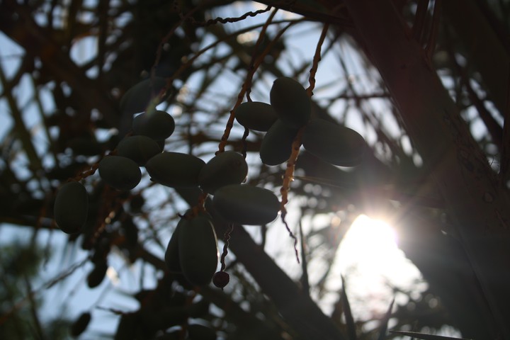 sunny and shiny
