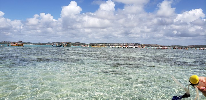 maragogi