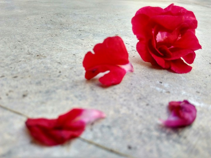 Red ♡