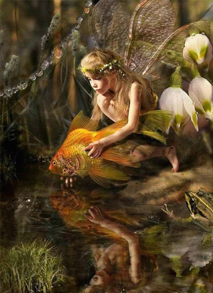 fish and girl