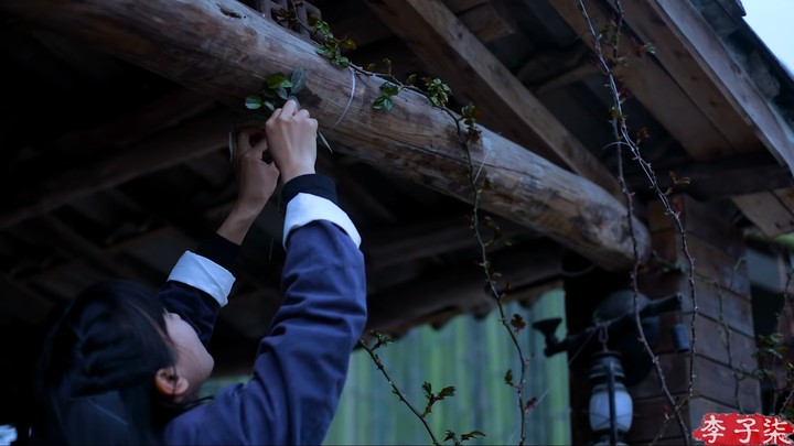 nature home