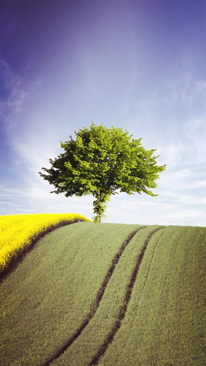 Green tree