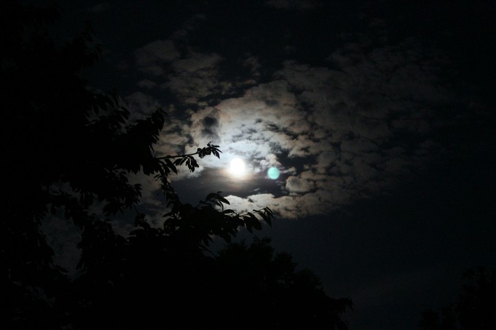 Night