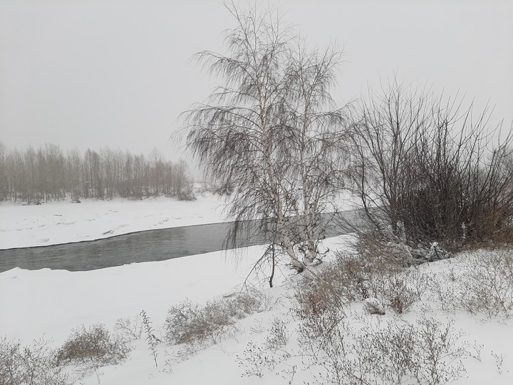 winter ❄
