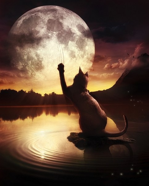 Witch's night