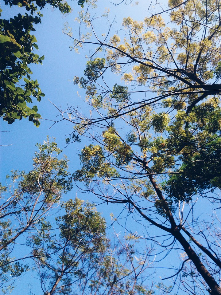 Afternoon time