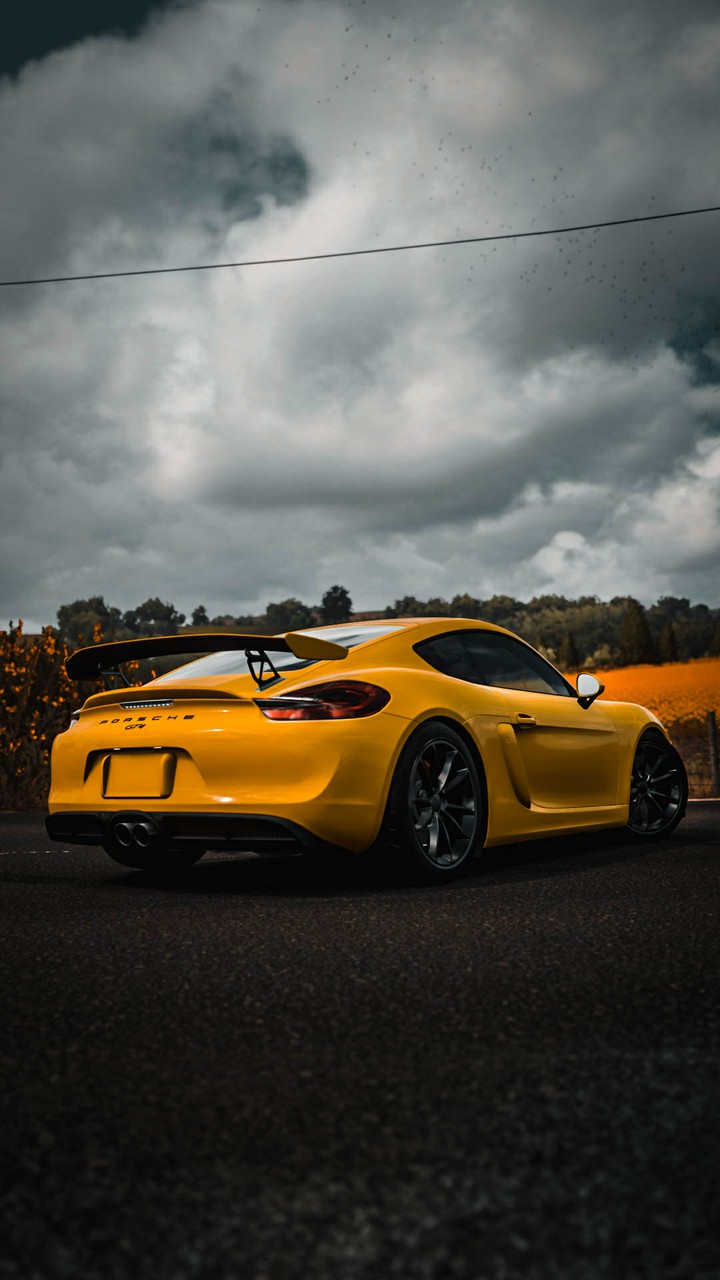 Porsche