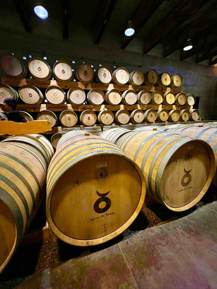 Cava Cuna de Tierra