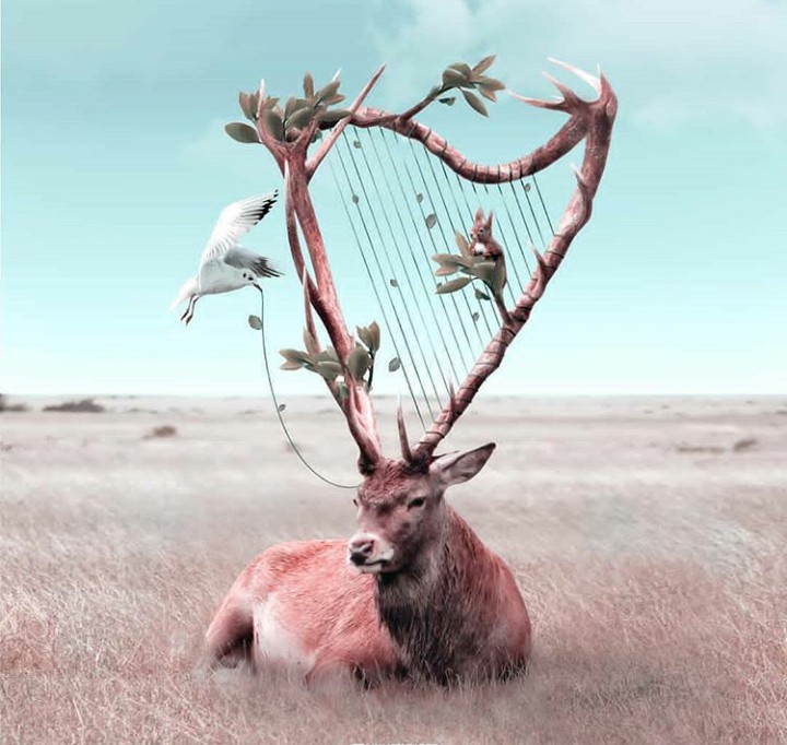 fantasy pics of animals ❤