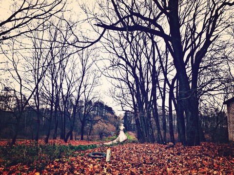 Autumn