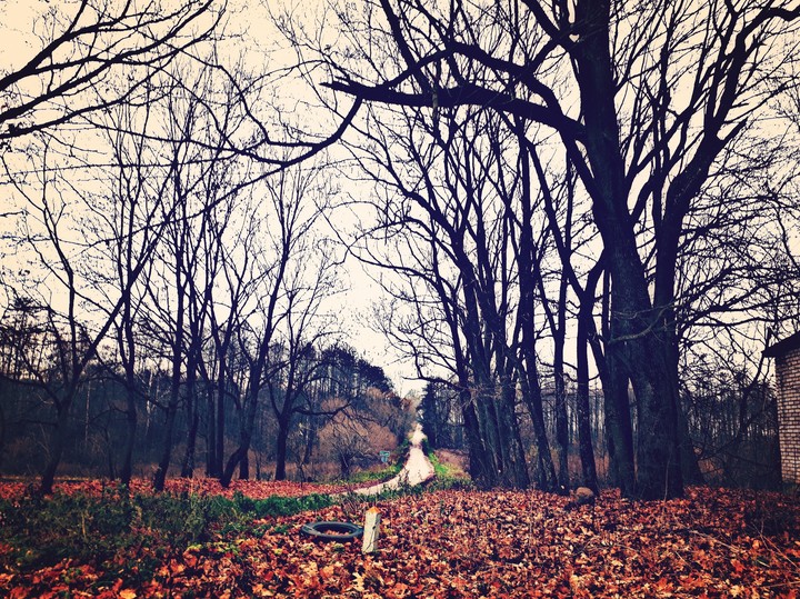 Autumn