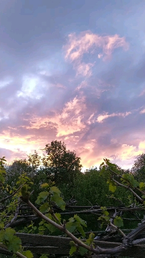 sky