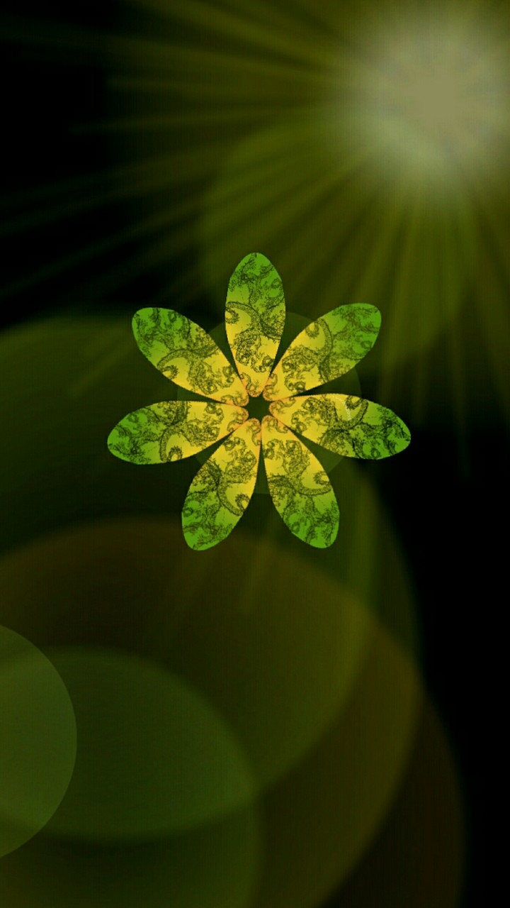 Artistic flowers 320