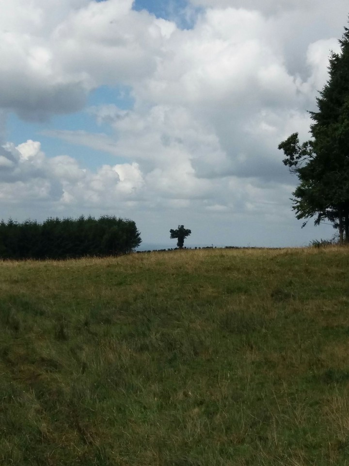 paysage