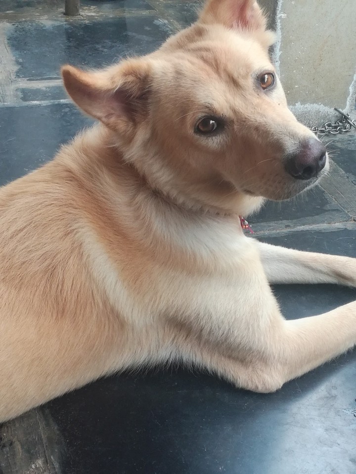 cute baby