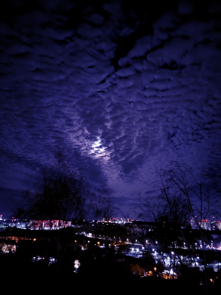 Dark blue