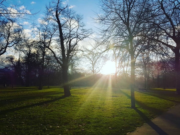 sunny days
