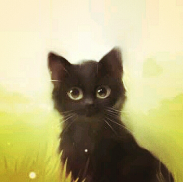 Cat art