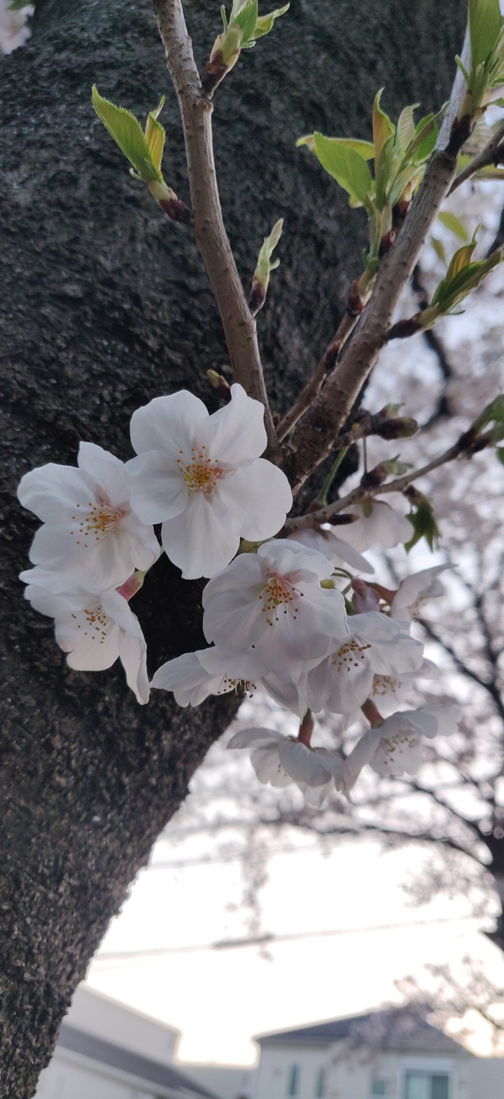 close enough