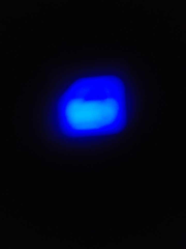 파란불빚