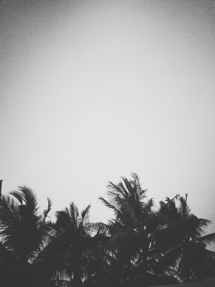 sun sets
