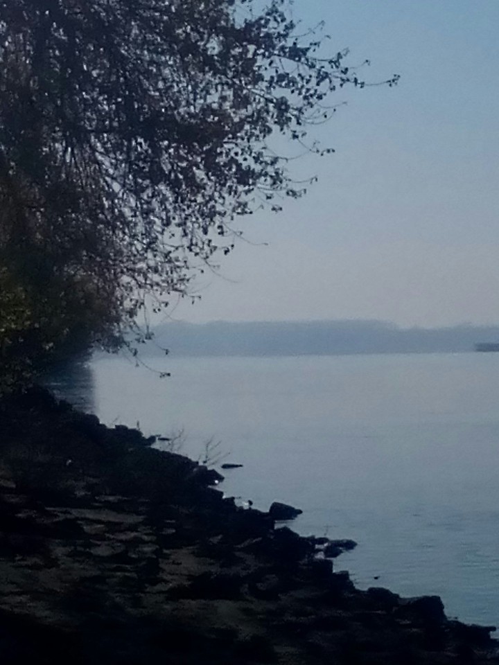 Dunav