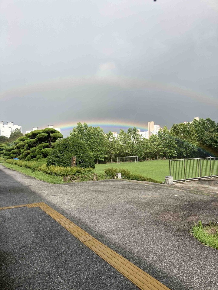 rainbows