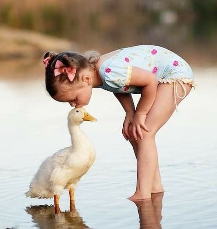 Child, Beak, Baby_&_Toddler_Clothing