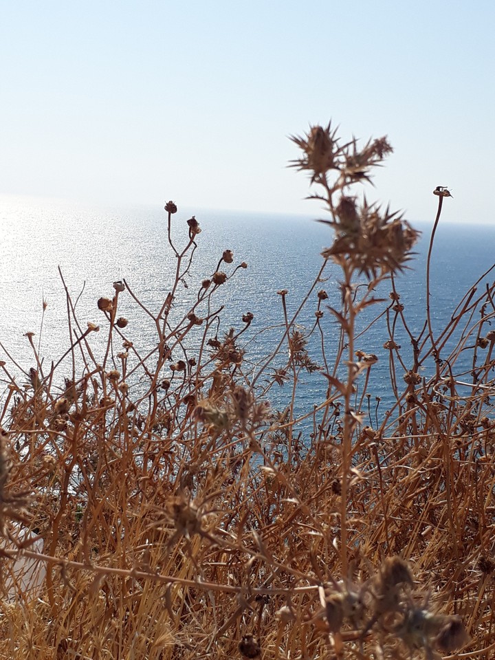 sea