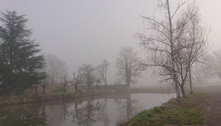 paysage dans le brouillard