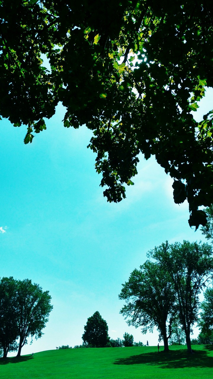 Peaceful day