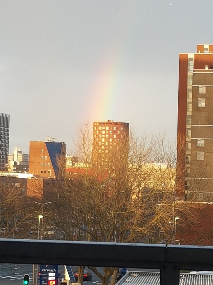 Rainbow