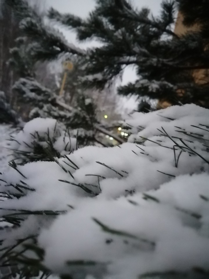 снег