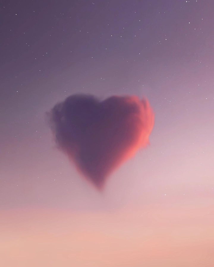 A heart