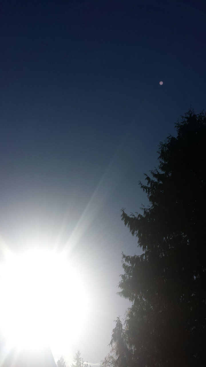 Sunny