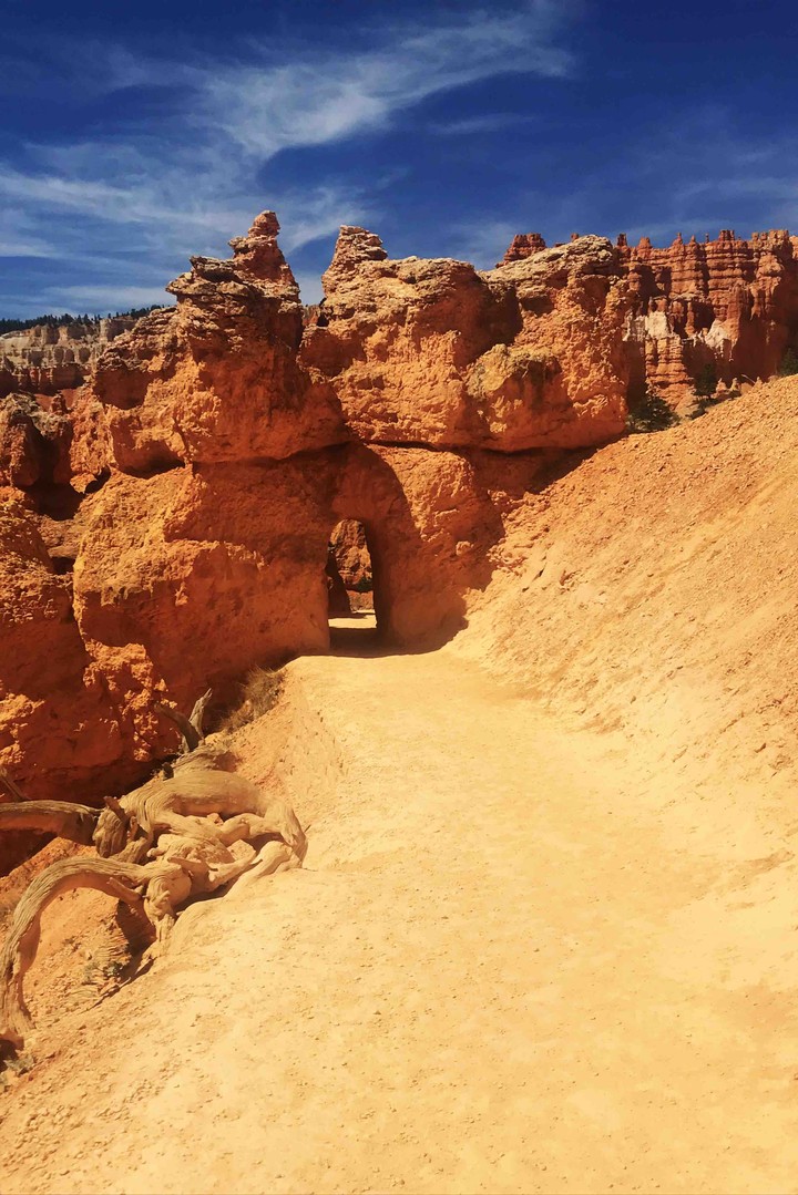 Bryce 2
