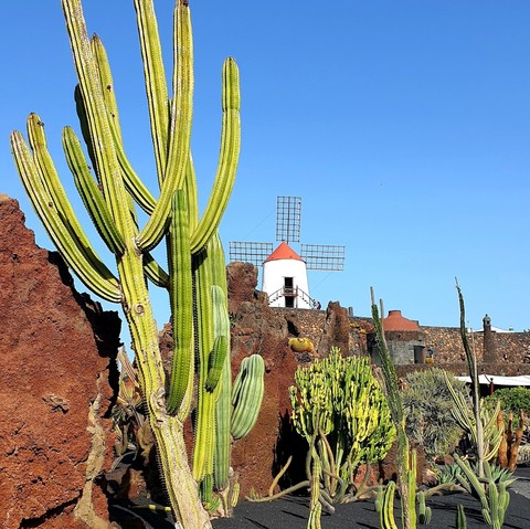 papéis de parede landscape, vegetation