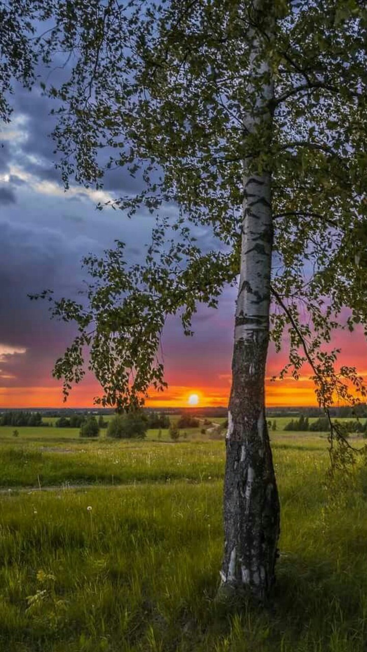 Закат солнца