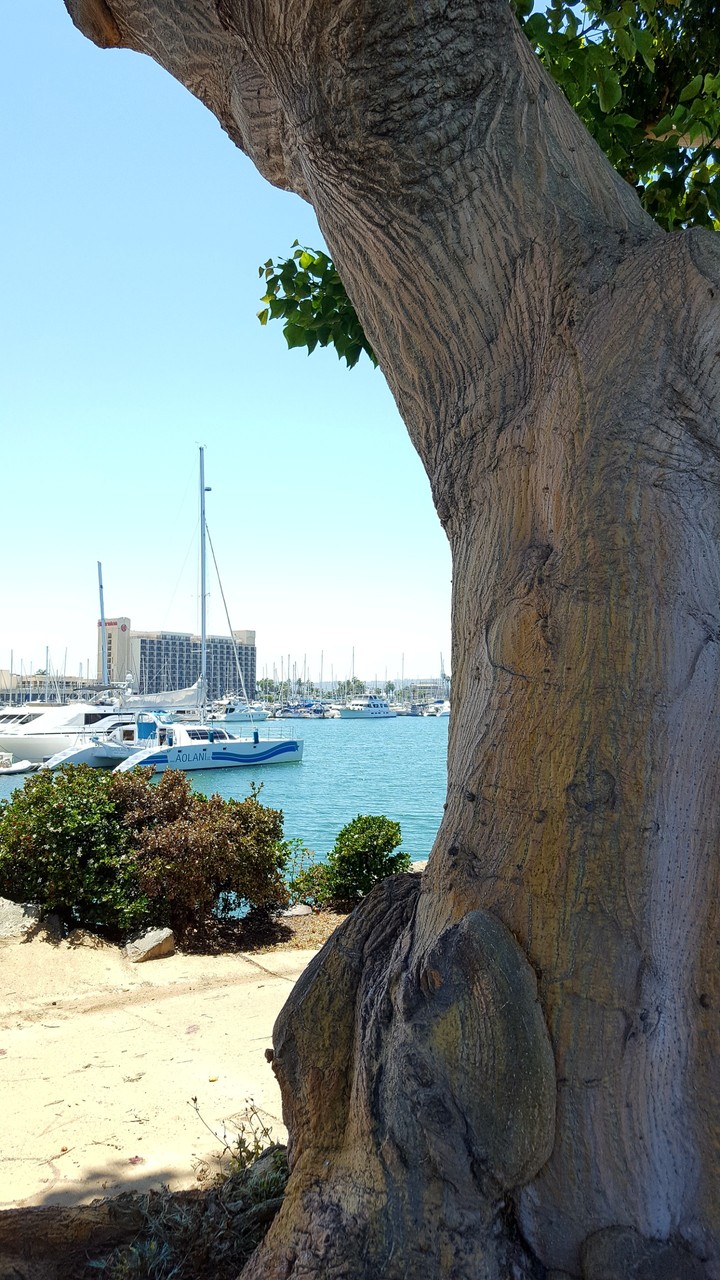 San Diego harbor May 2017
