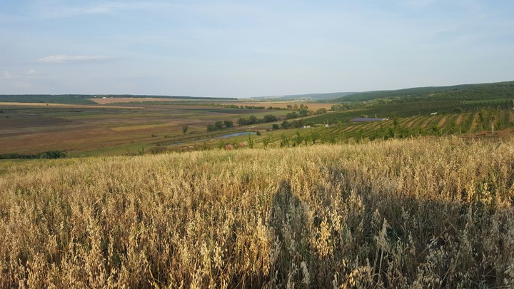 Moldova Orhei